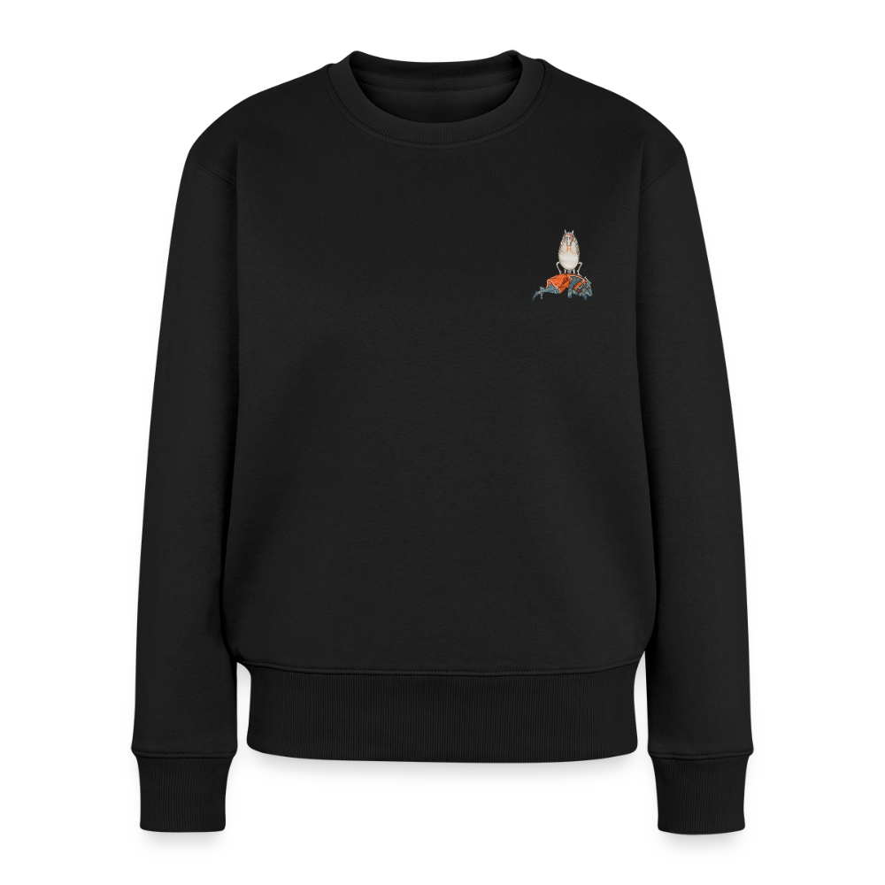 Mittelalter Tiere Pullover I Falscher Reiter - Schwarz